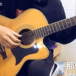 念指间芳华一曲，还时光回响抱今朝